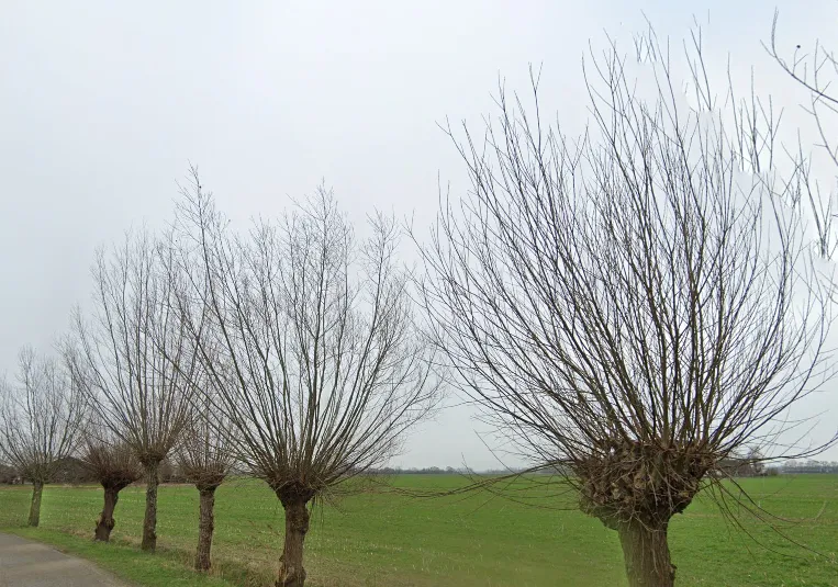 schermafbeelding 2025 06 01 134133