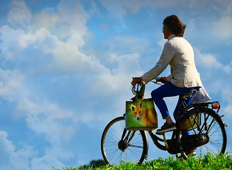 schermafbeelding 2025 06 03 085813