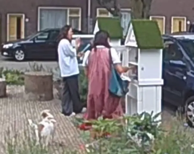 schermafbeelding 2025 07 05 155234