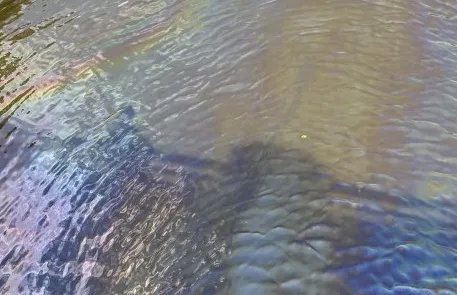 Schermafbeelding 2025-07-08 173411