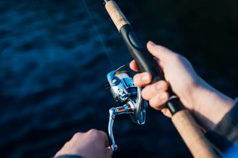 Schermafbeelding 2025-08-01 125641