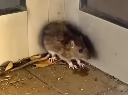 Schermafbeelding 2025-09-14 132954