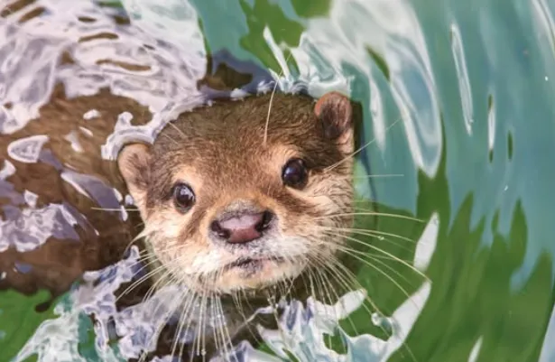 Schermafbeelding 2025-09-18 094037