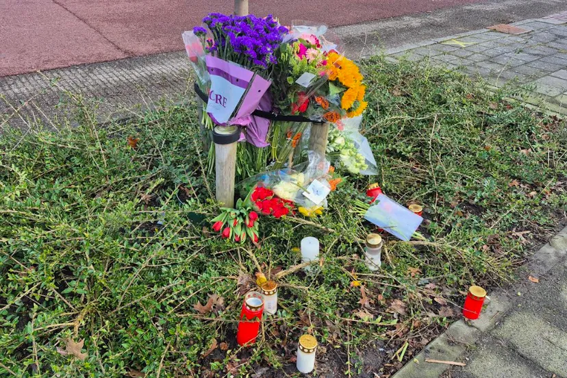 Schermafbeelding 2026-03-01 115108