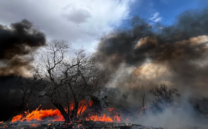 Schermafbeelding 2026-04-29 160740