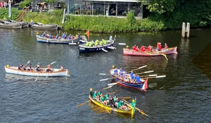 Schermafbeelding 2026-06-19 170120