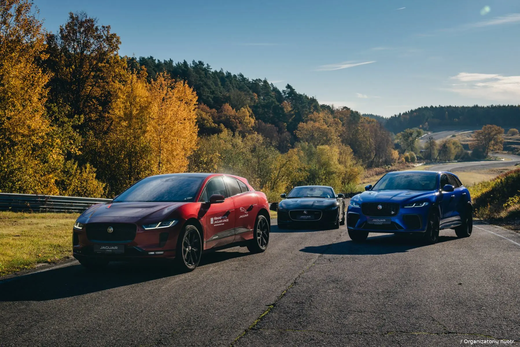 jaguar testai kacergineje 26