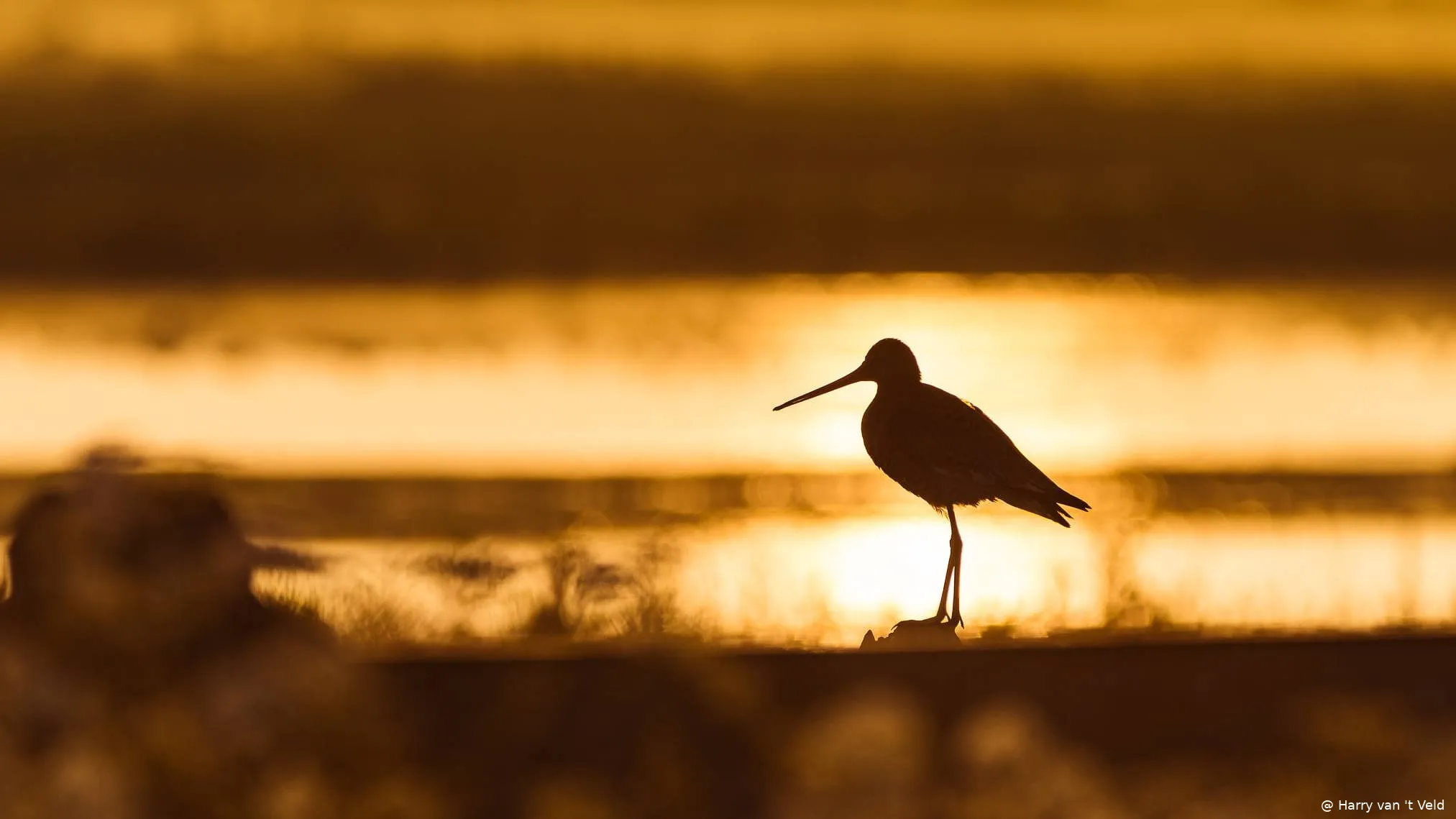 Open avond VNF Nijkerk