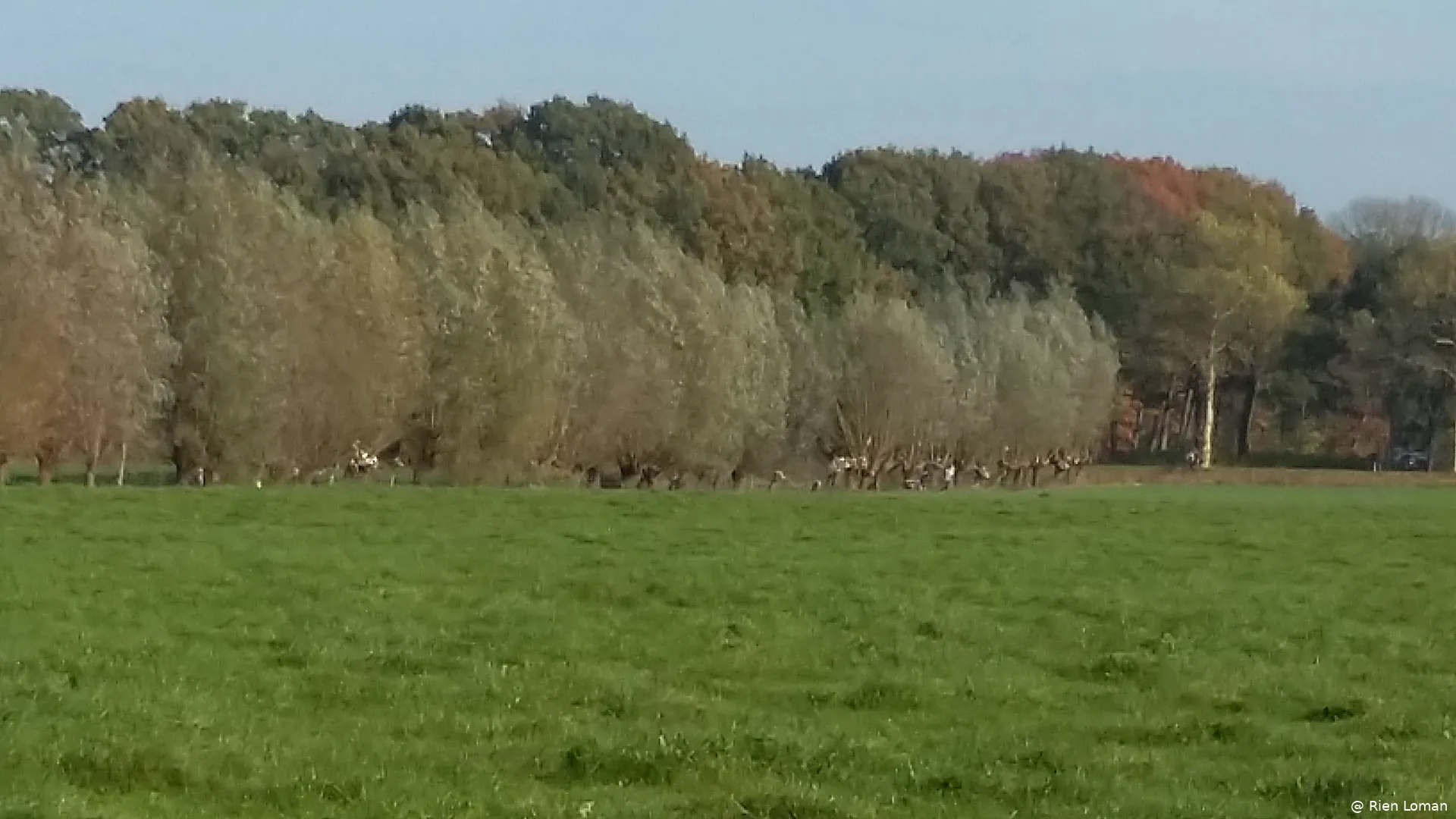 Fijn buiten aan de slag aan de rand van de Arkemheense polder
