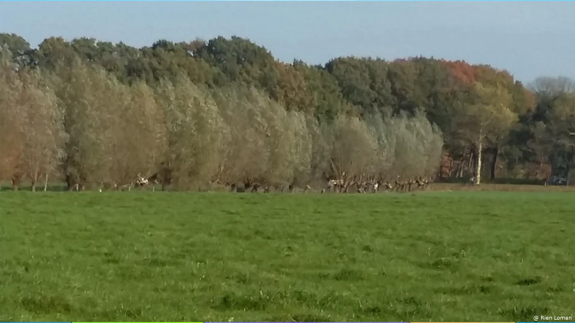 Fijn buiten aan de slag aan de rand van de Arkemheense polder