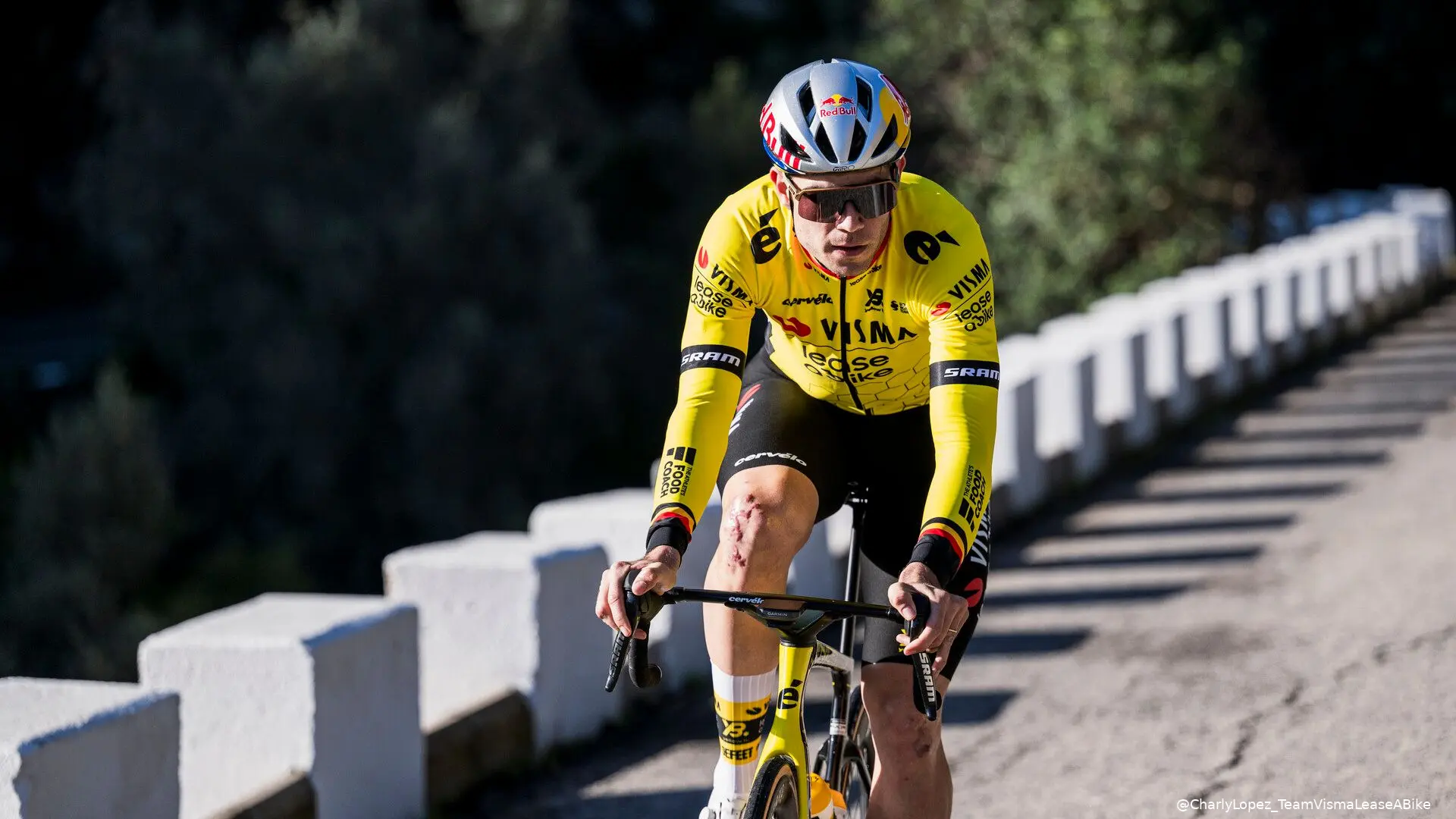 woutvanaert