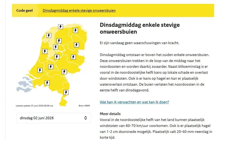 KNMicodegeel