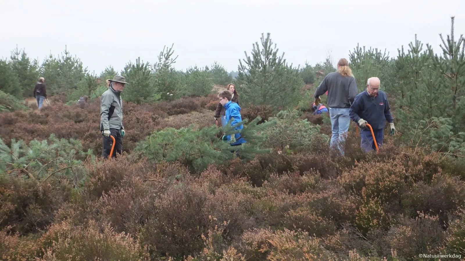 natuurwerkdag1