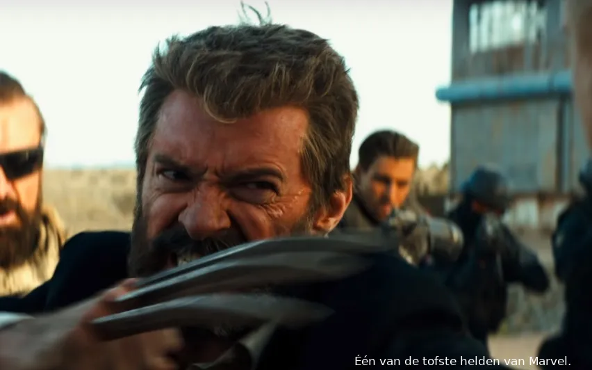 logantrailer