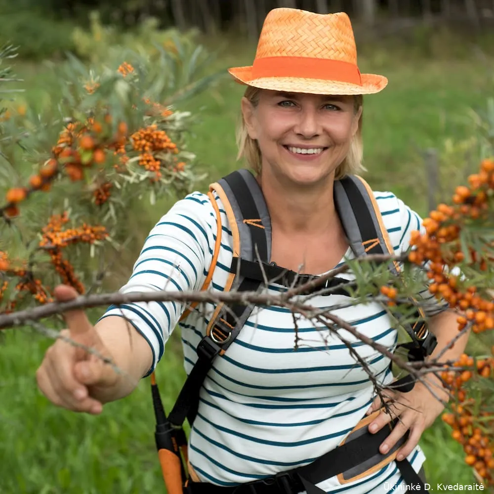ambsaltalankiu ukis lietuvoje