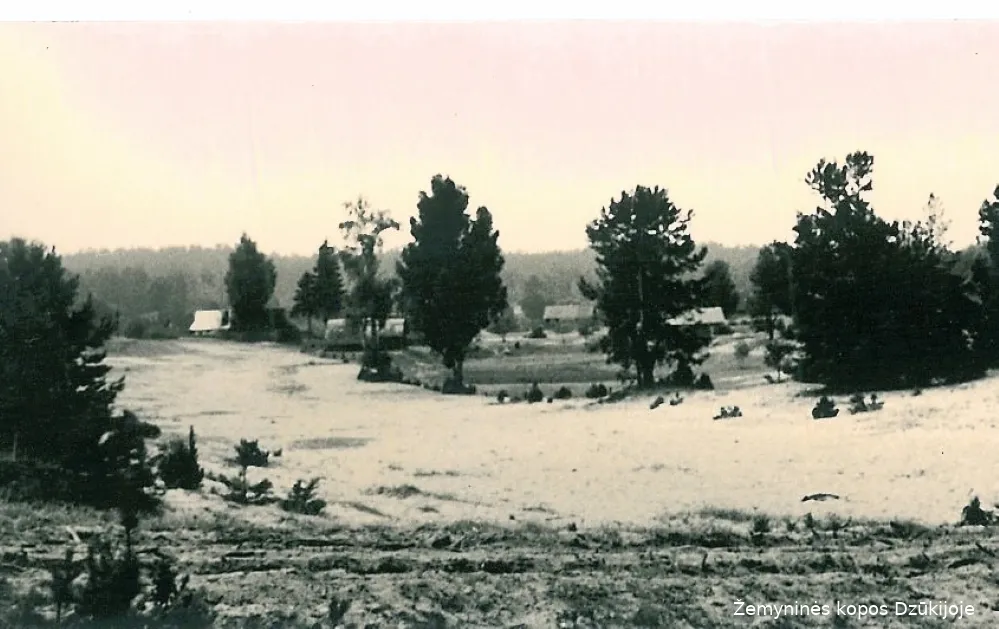 dzupar23 57301de694eb42c0a7be1d4e842770d6a