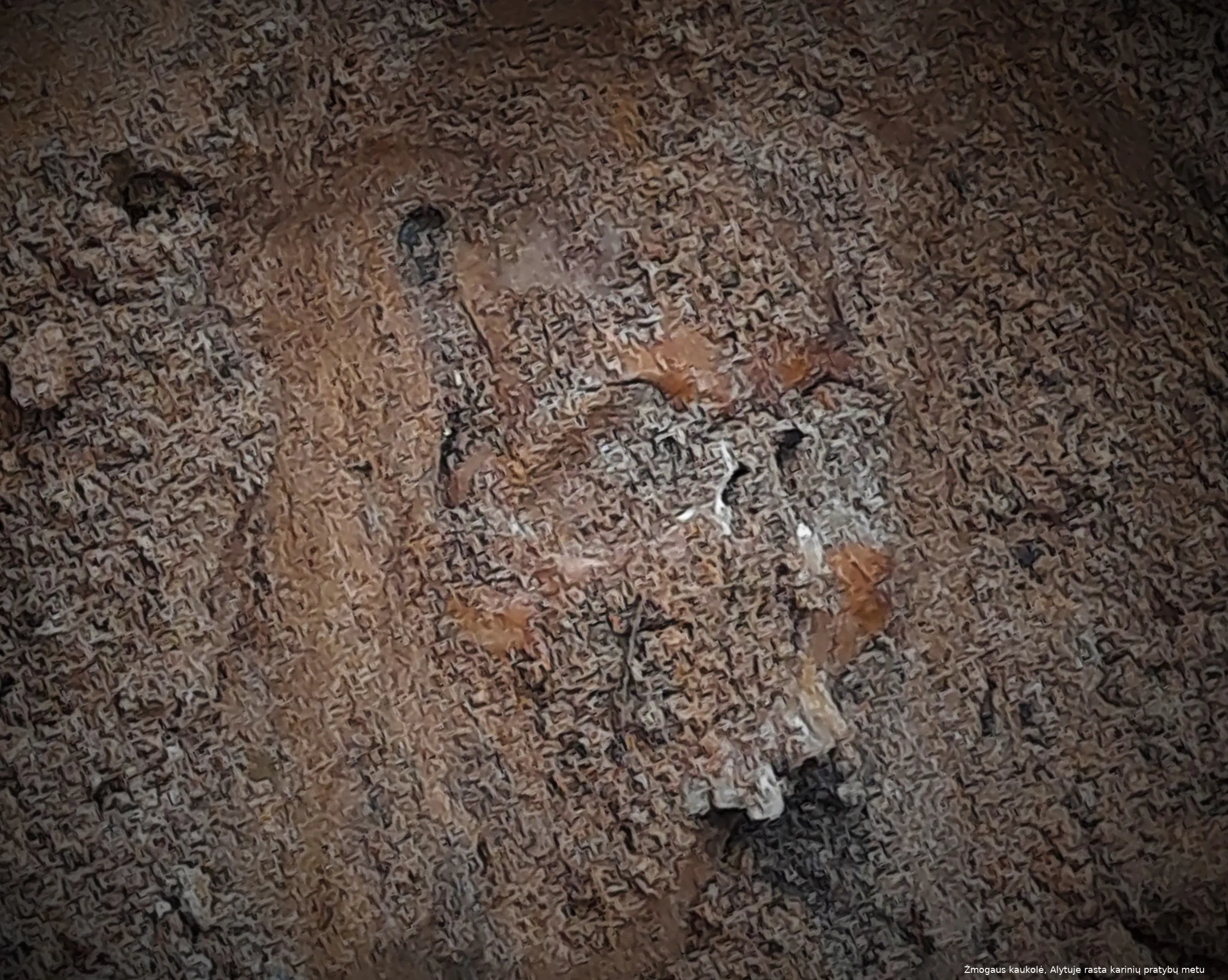 kauko20210325 105007