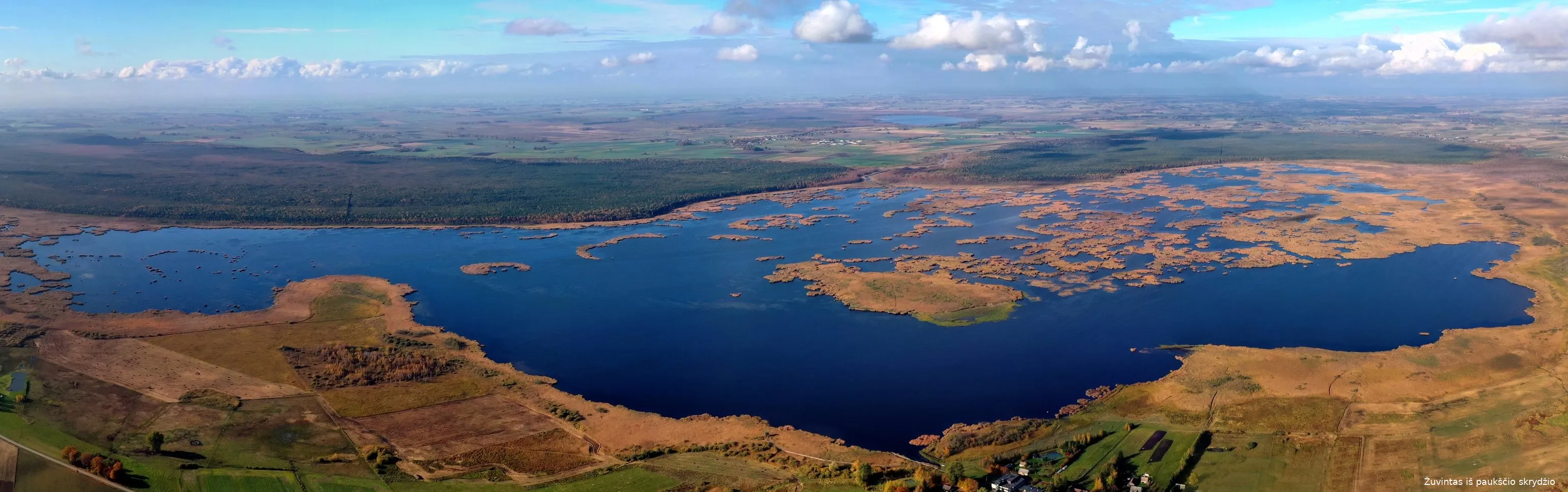 zuv310441675 470344975121550 4253211892165144285 ns