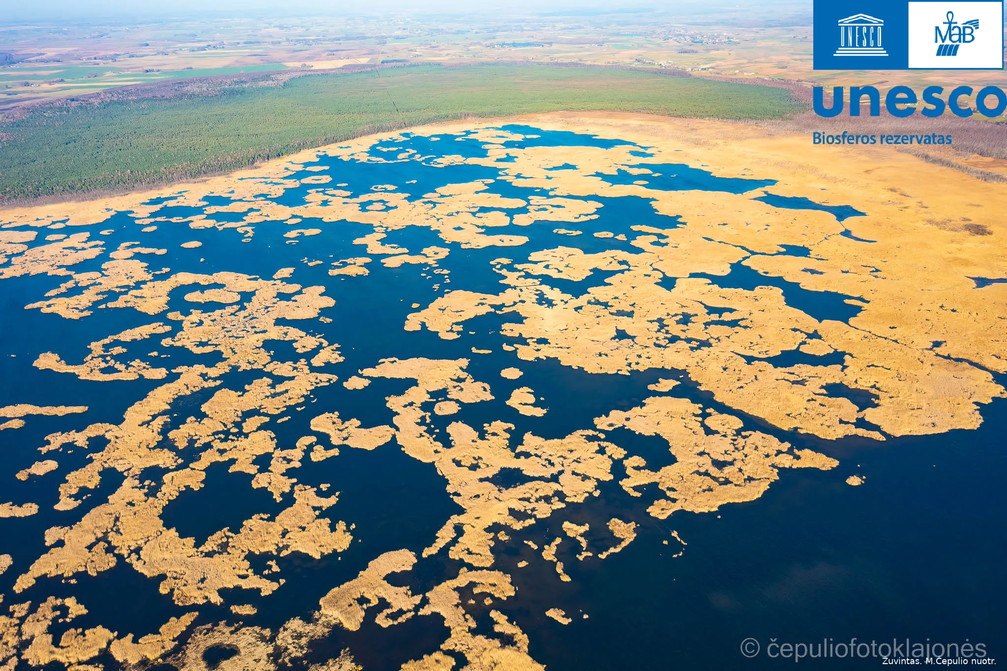 mcepulio ntr zuvintas