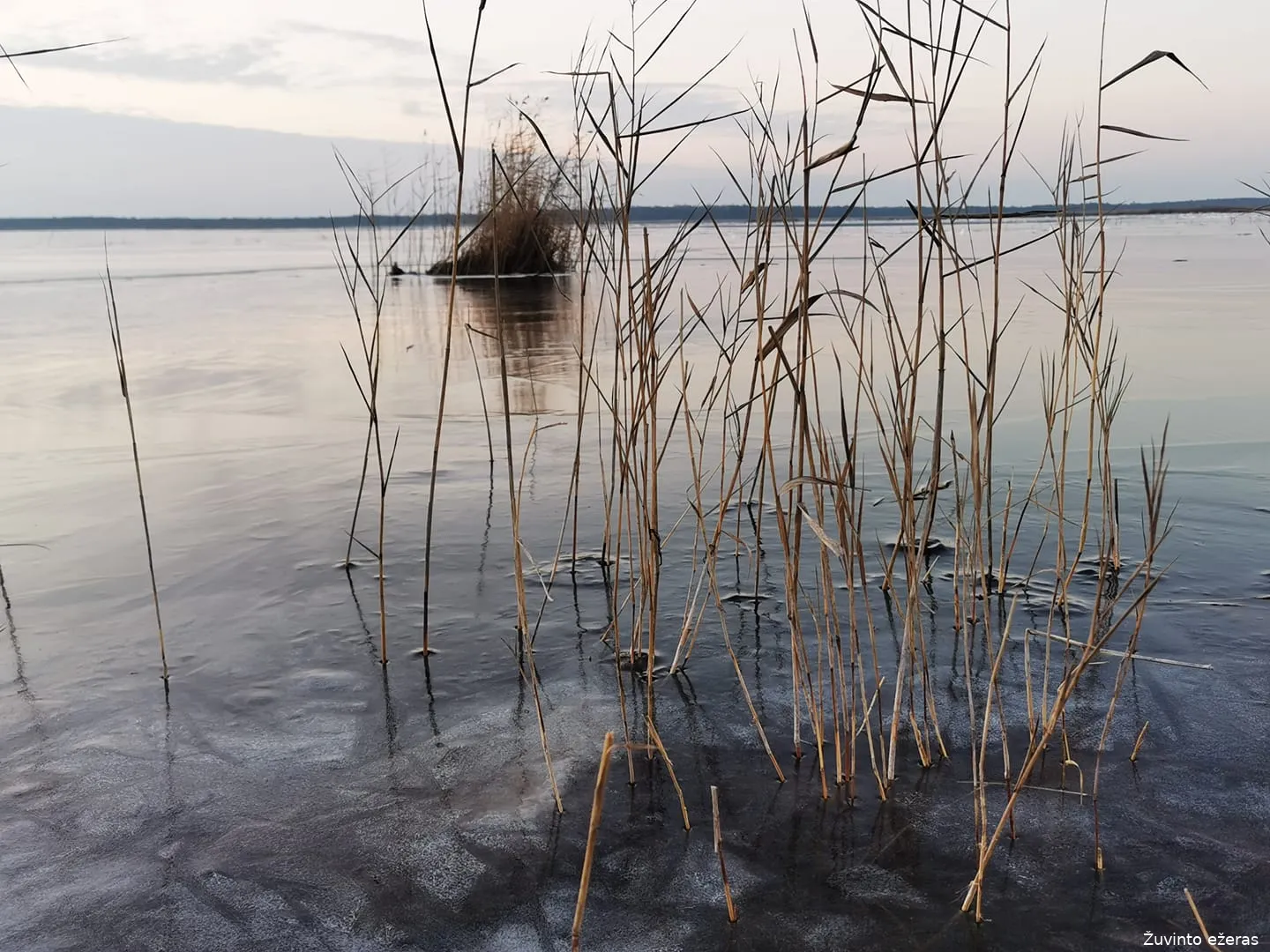 zuvi130477723 3742766885786943 3327923191761095897 n