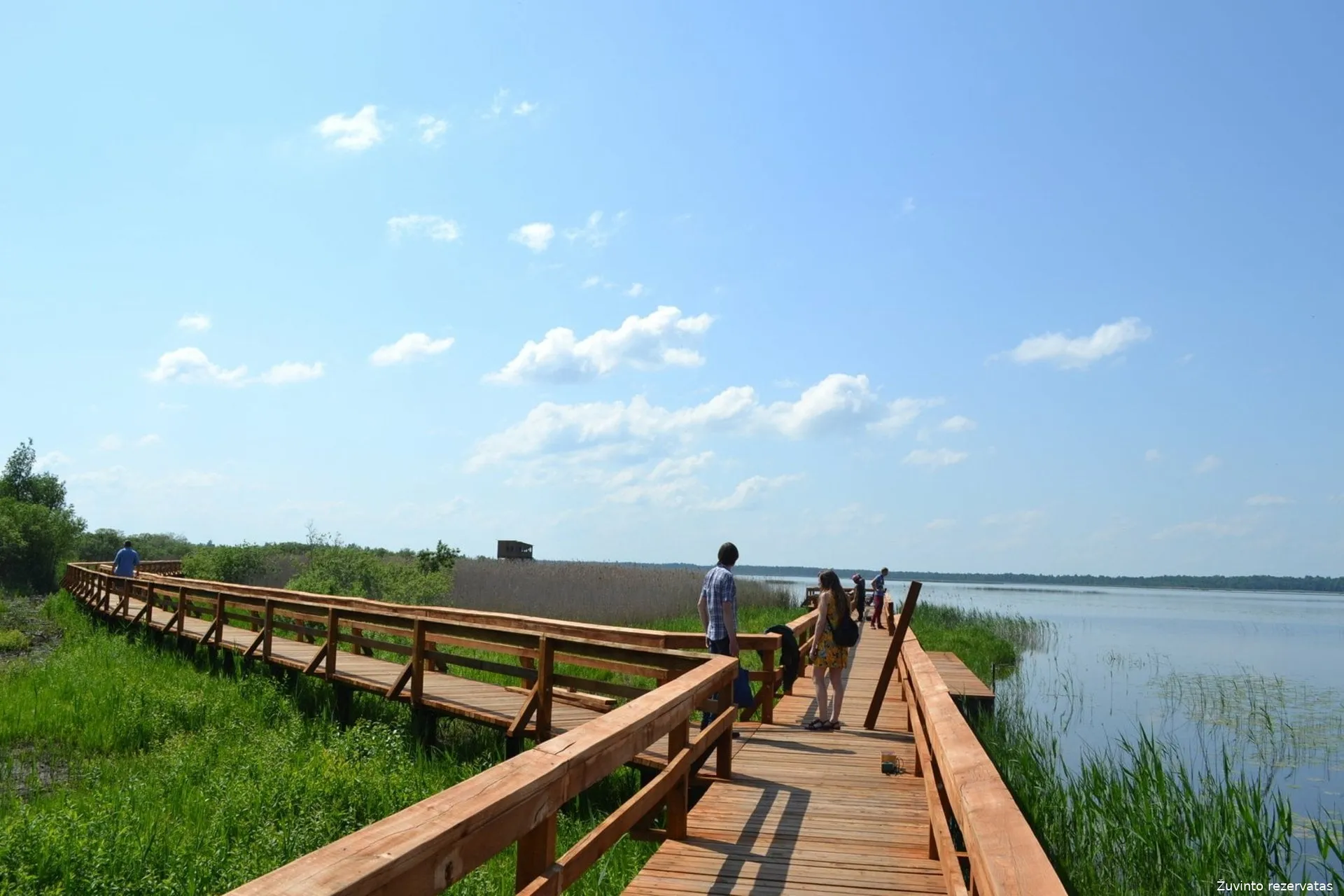 zuvinto rezervatas
