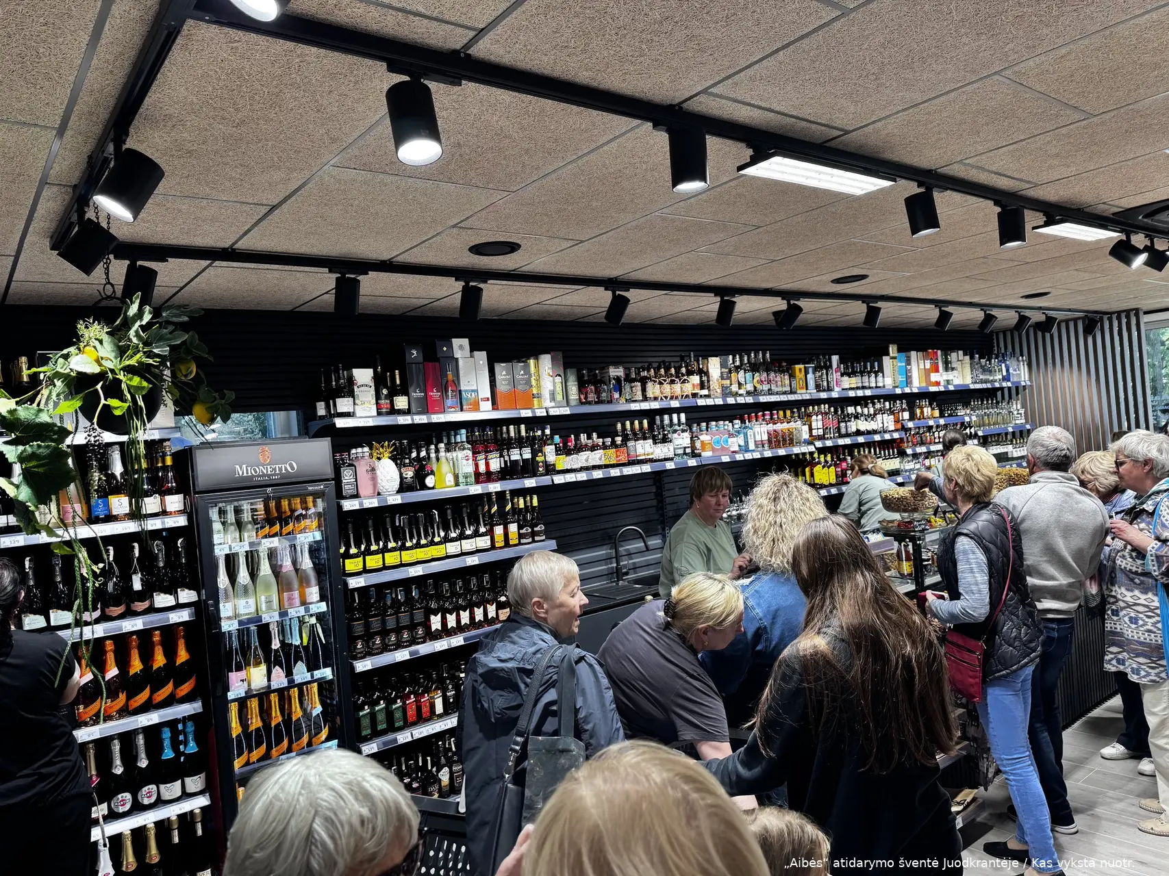 „Aibės“ atidarymo šventė Juodkrantėje / Kas vyksta nuotr.