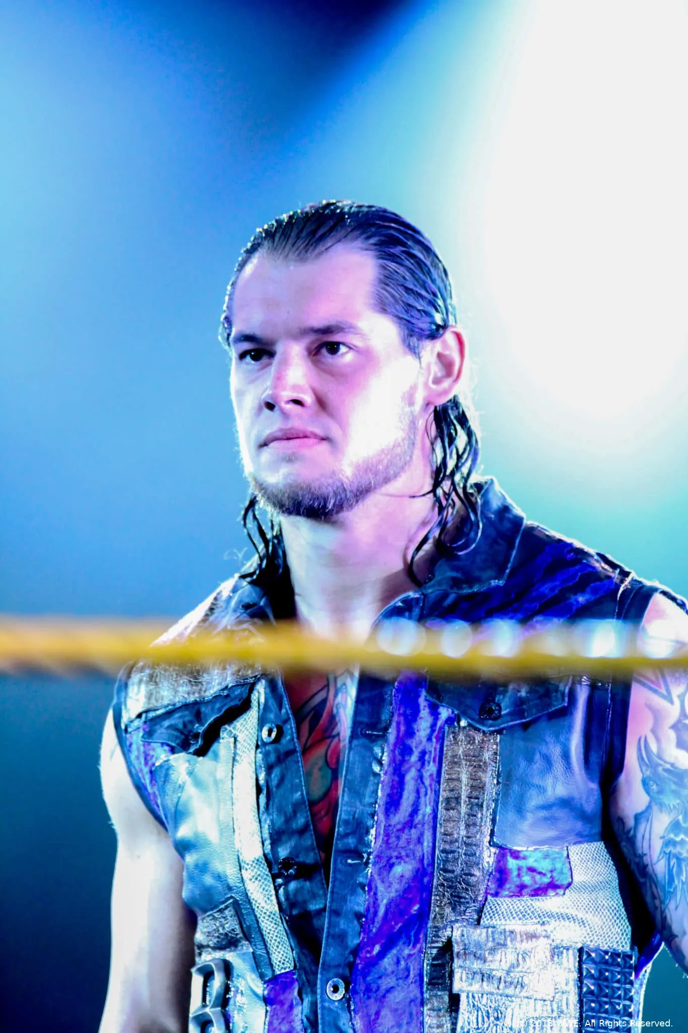nxt dec tapings 3 kopie