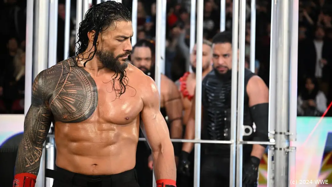 wwe roman reigns series 1124 2