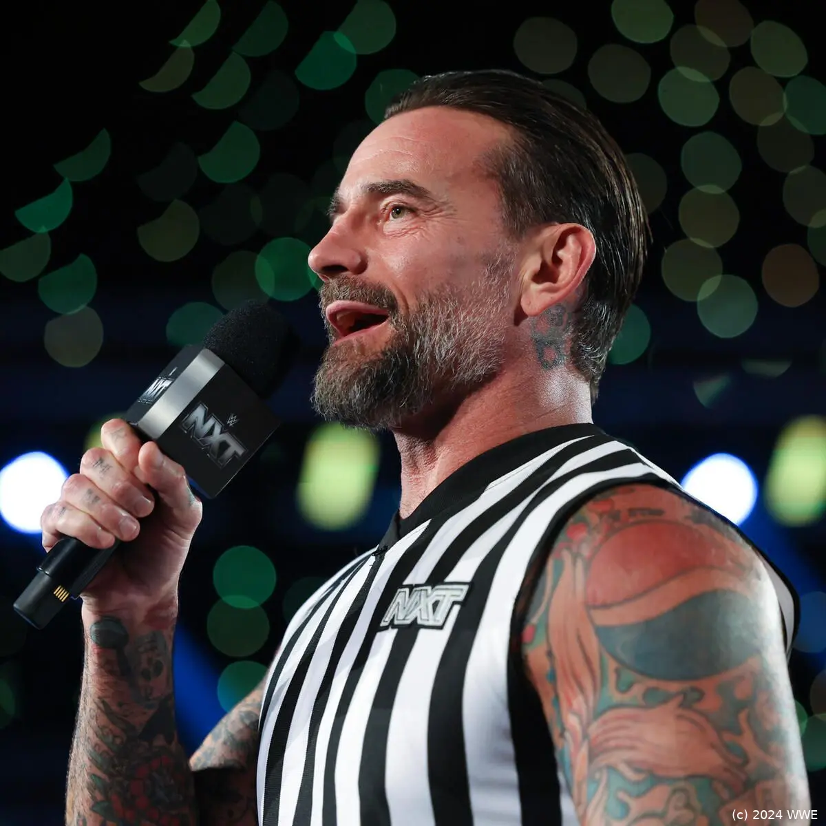 wwe cm punk 1024