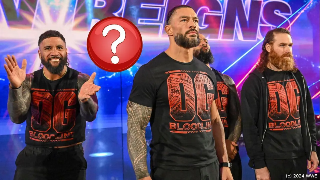 wwe bloodline 1124 fuenfter mann
