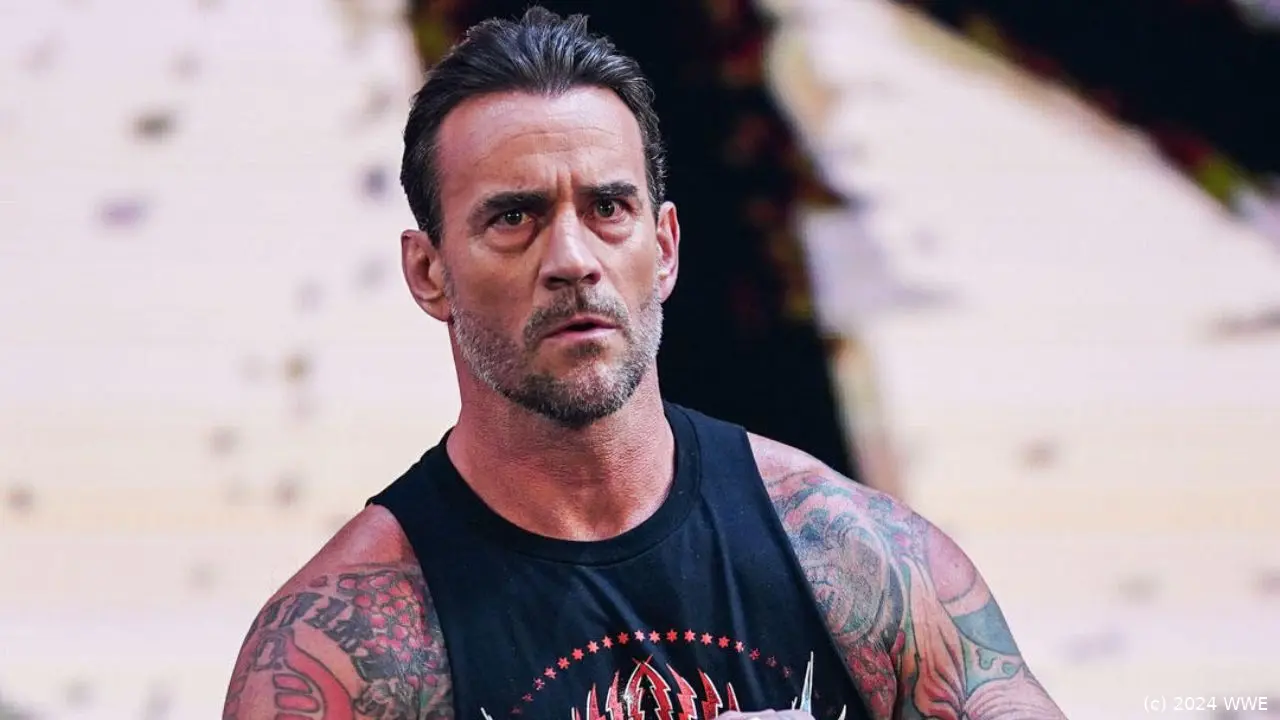 wwe cmpunk 1124
