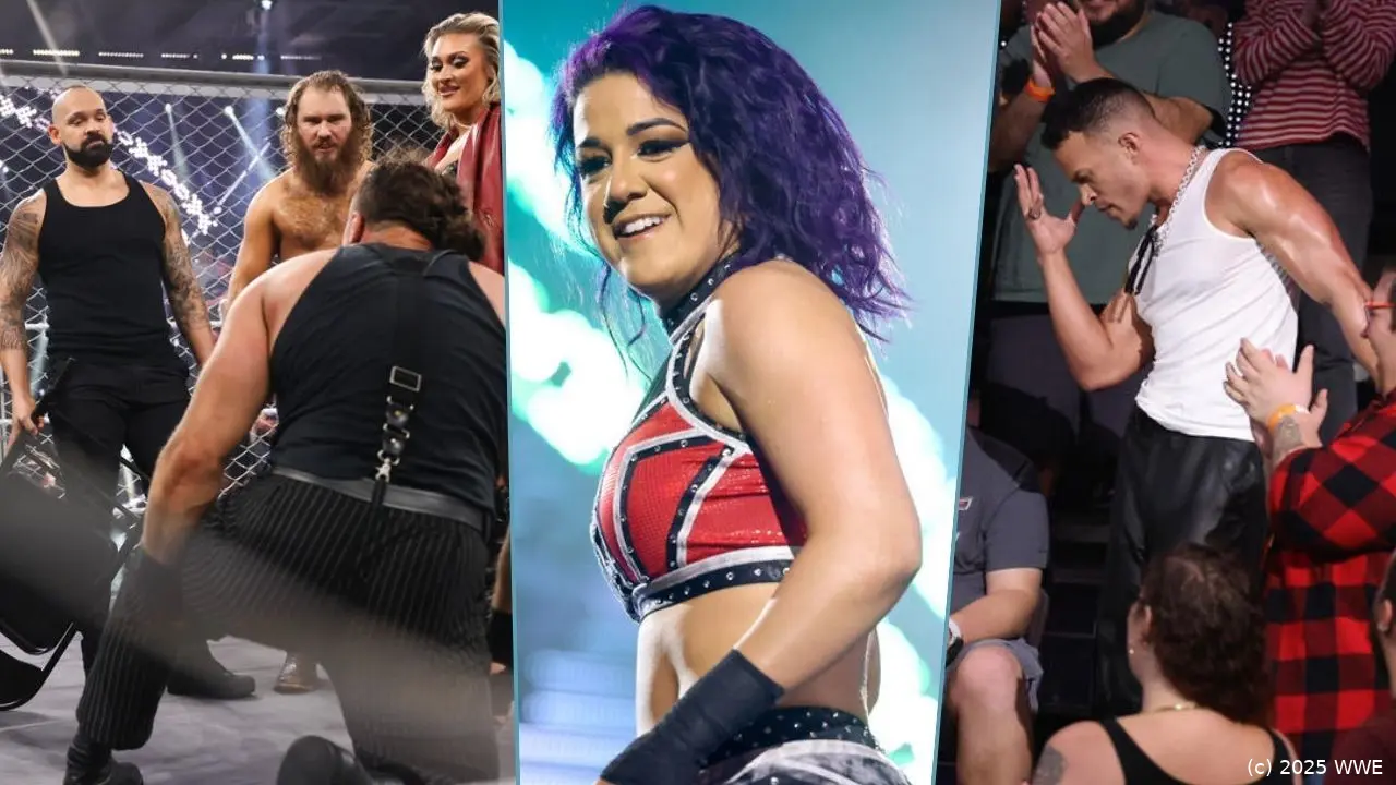 wwe nxt 110225