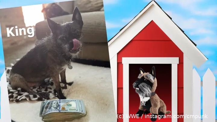 wwe cmpunk larry 1124