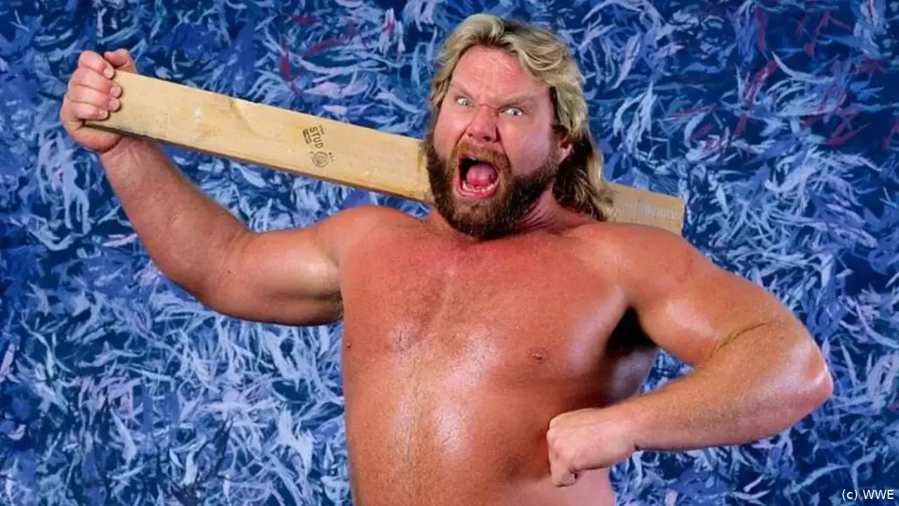 wwe hacksaw jim duggan
