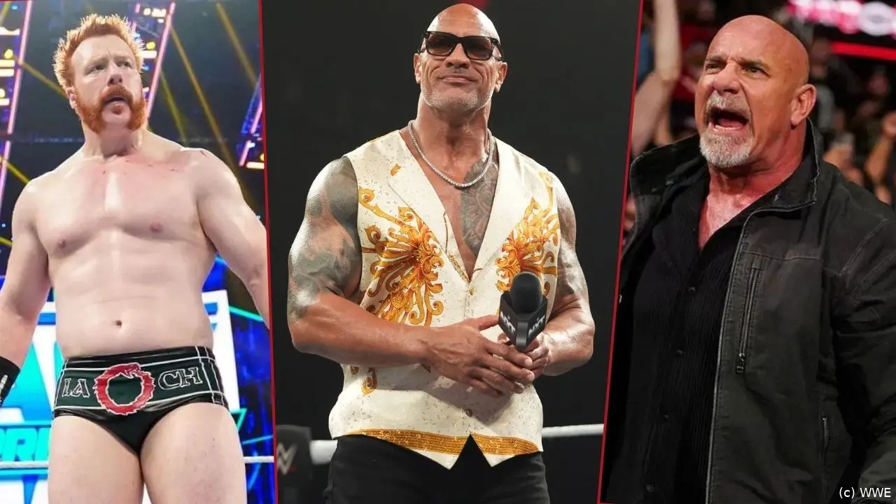 wwe news 130125