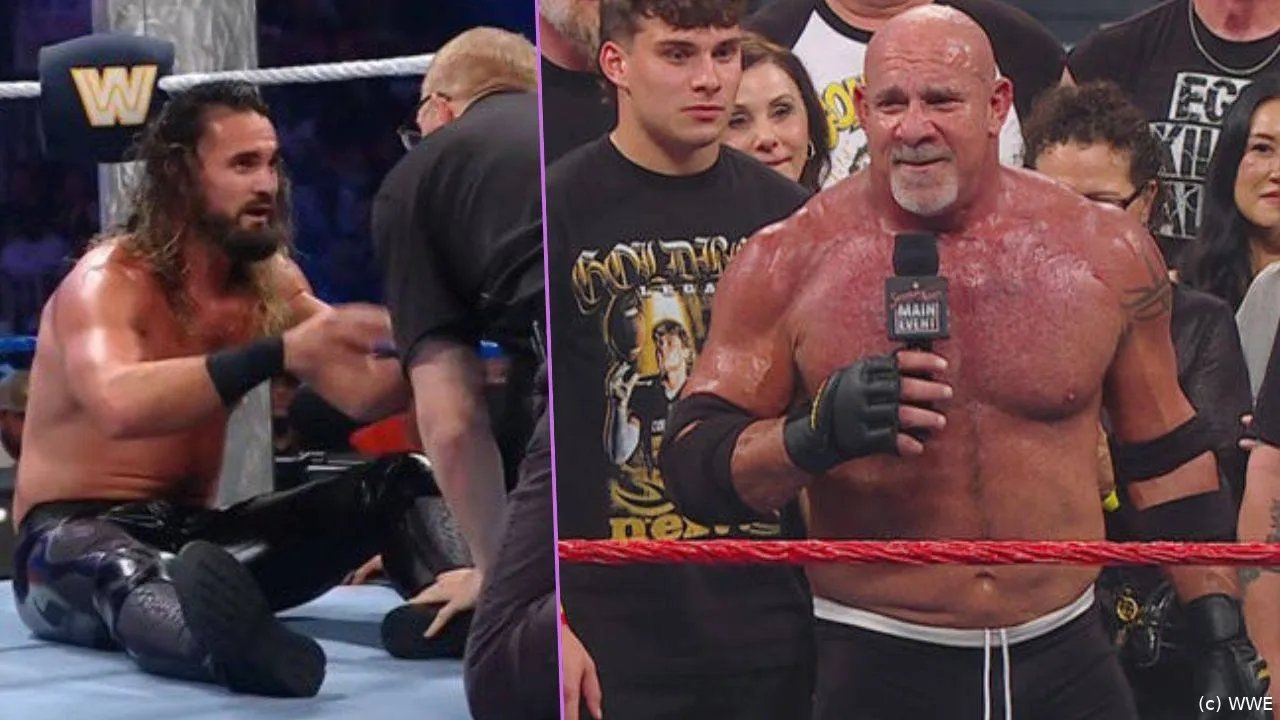 wwe_snme_zusammenfassung_120725