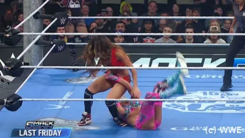 wwe_smackdown_nikki_bella_270326