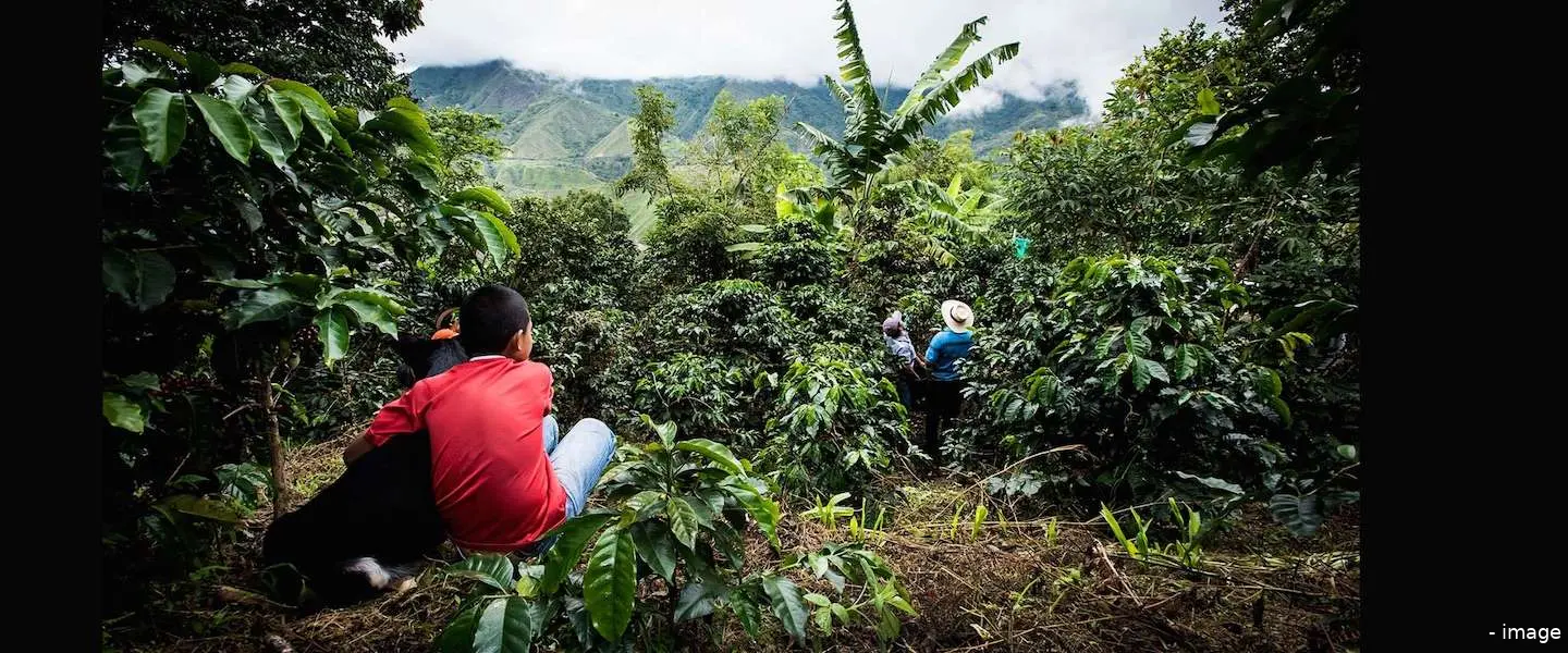360 nespresso colombia