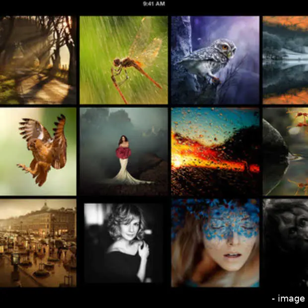 500px ipad app zorgt voor enorme groei