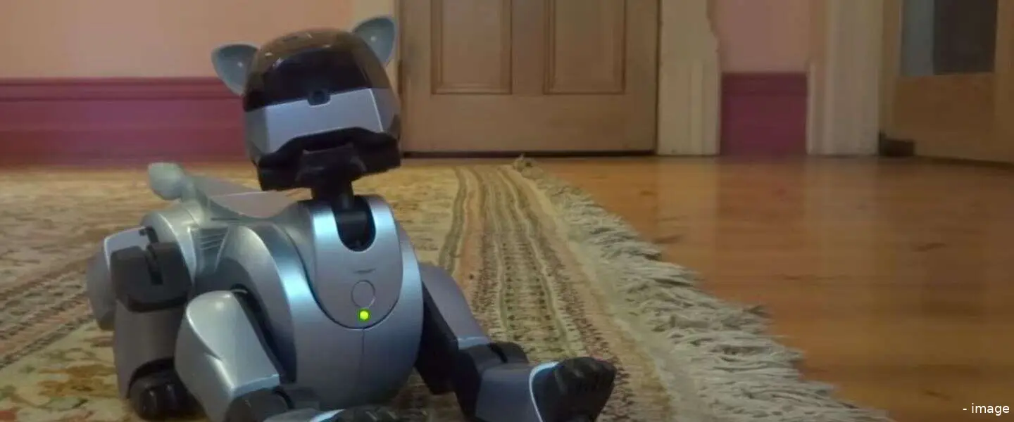 aibo