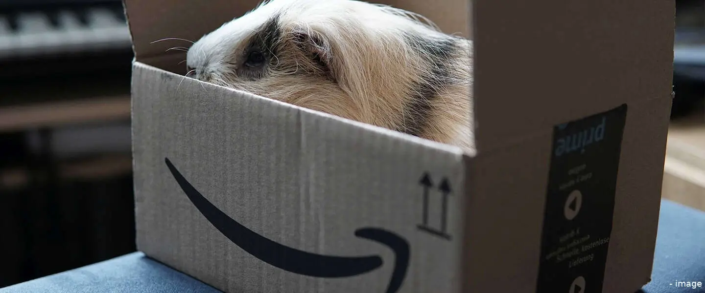 amazonprimedag