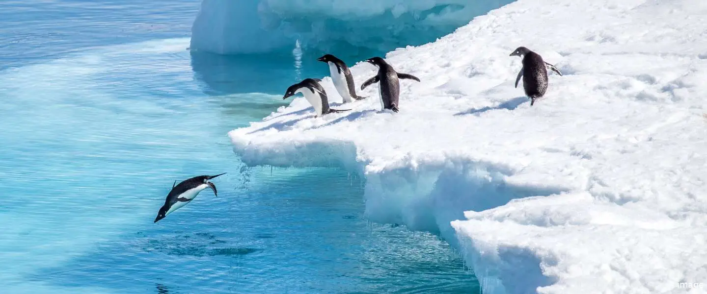 antarctica