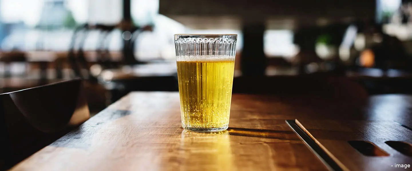 bier alcohol vrij