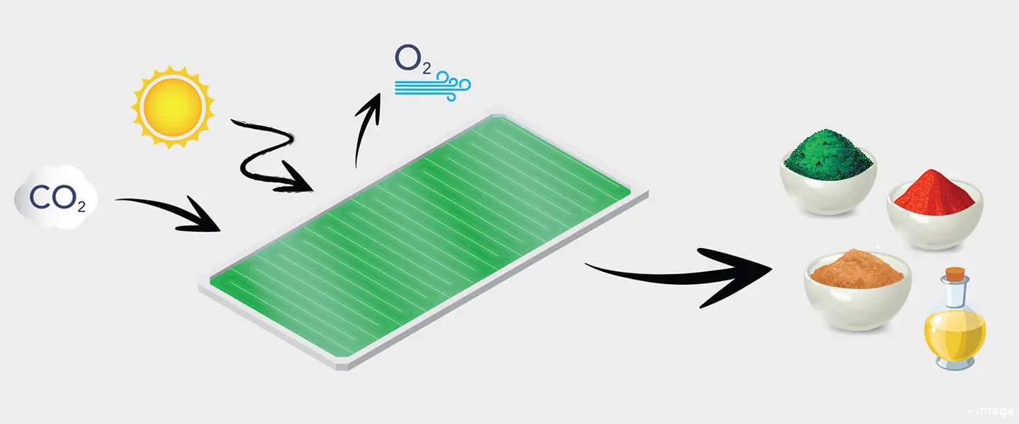 biosolar roof