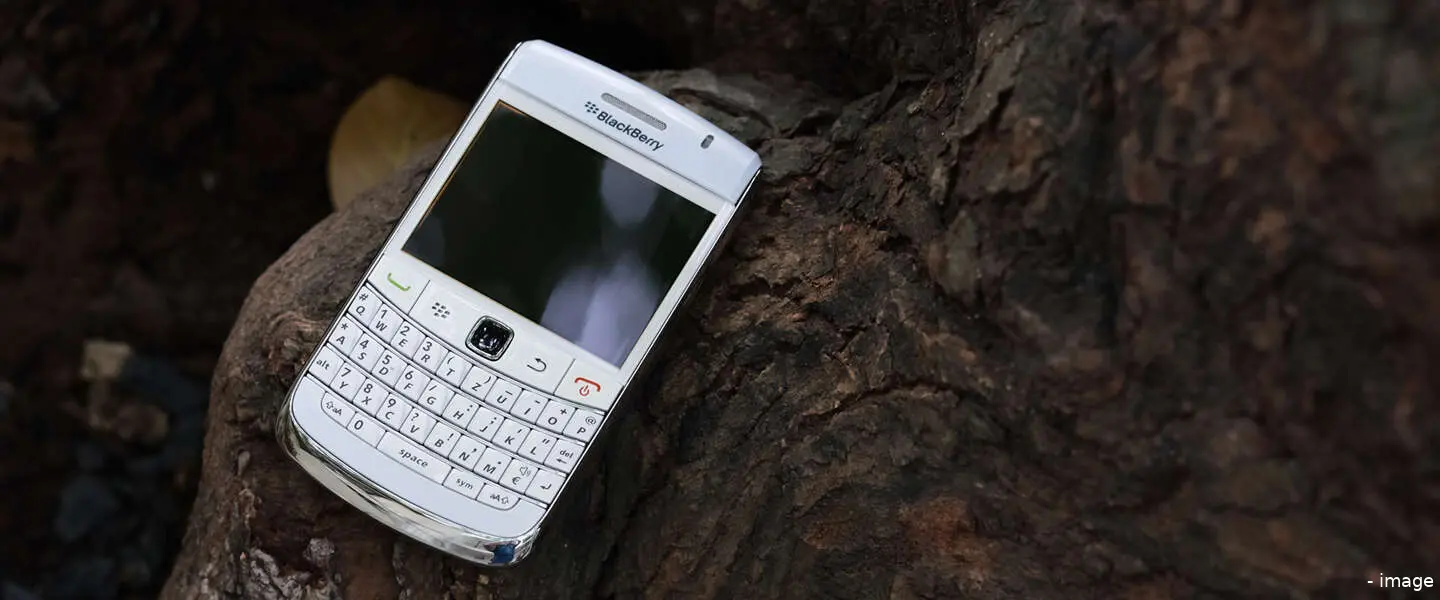 blackberry