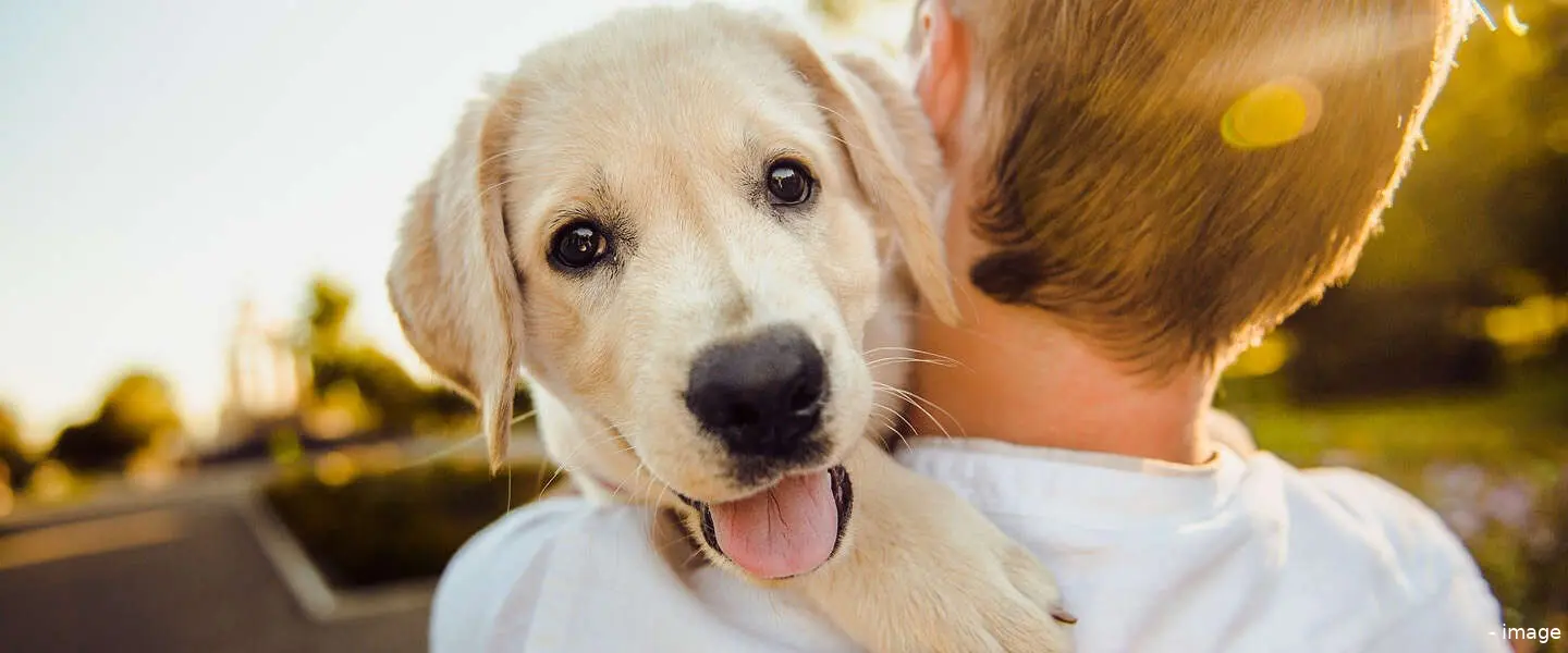 blijepuppy