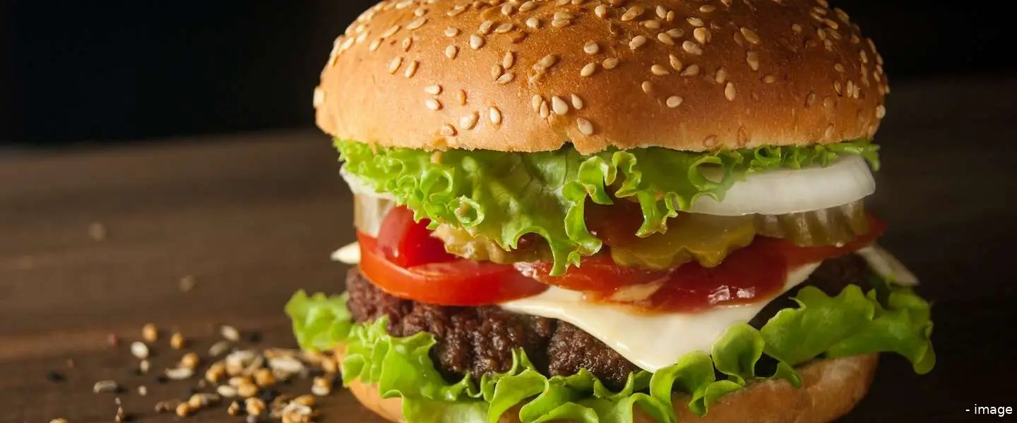 burger header 1