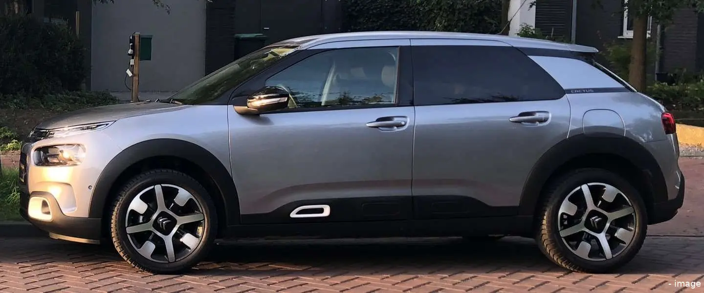 c4 cactus 2018 test