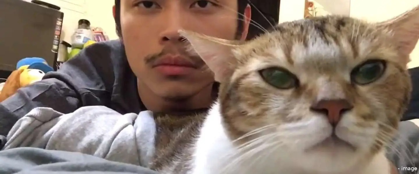 cat rap