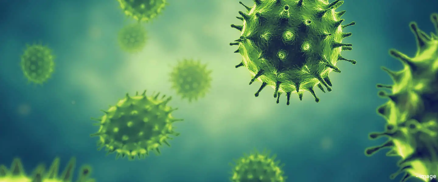 coronavirus ziektemakend